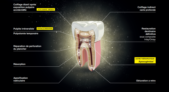 biodentine indications biodentine indications